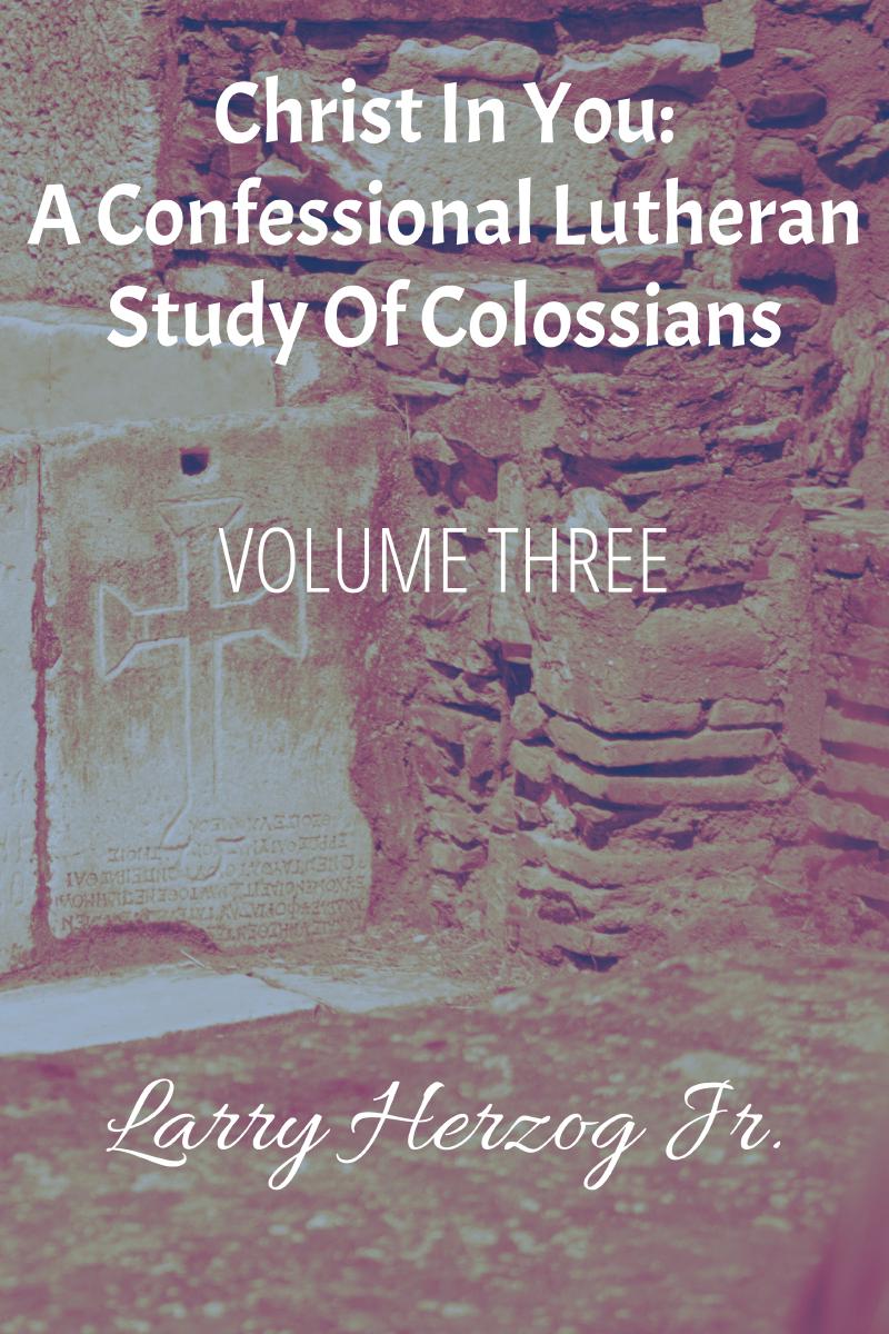 Cover of Christ in You