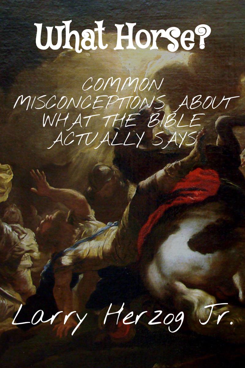 Cover of What Horse?